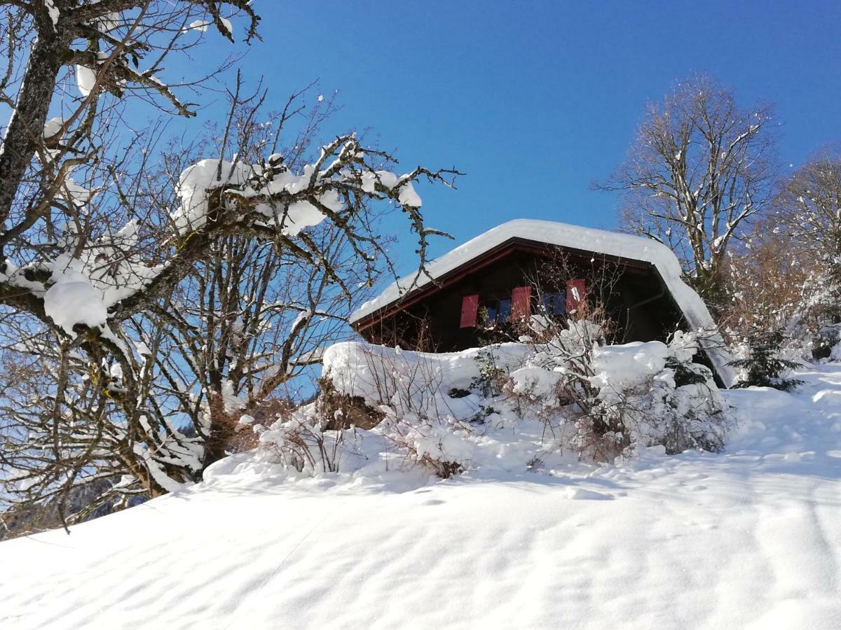 Ferienhaus Schnider Galgenul Buitenkant foto